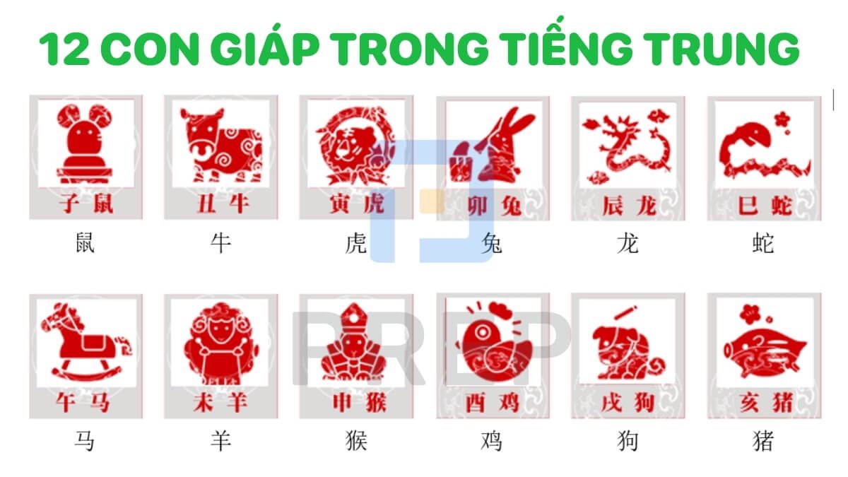 12 con giáp trong tiếng Trung