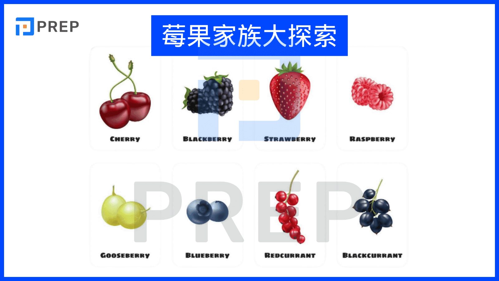 2-berry-family-fruit -vocabulary-in-english.png