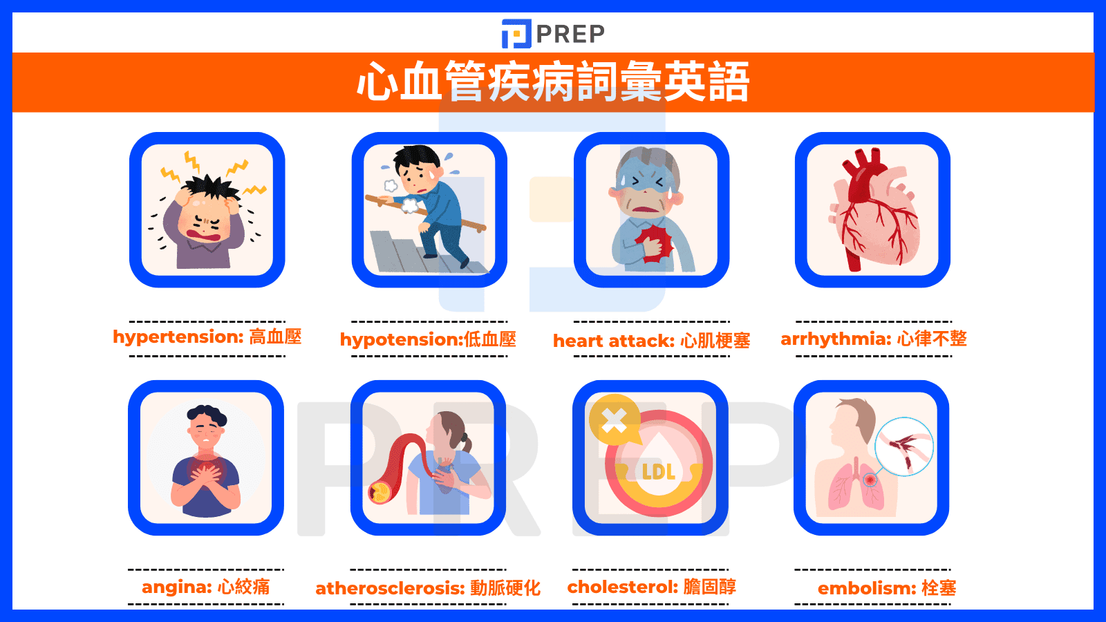 7-cardiovascular-disease-vocabulary-english.png