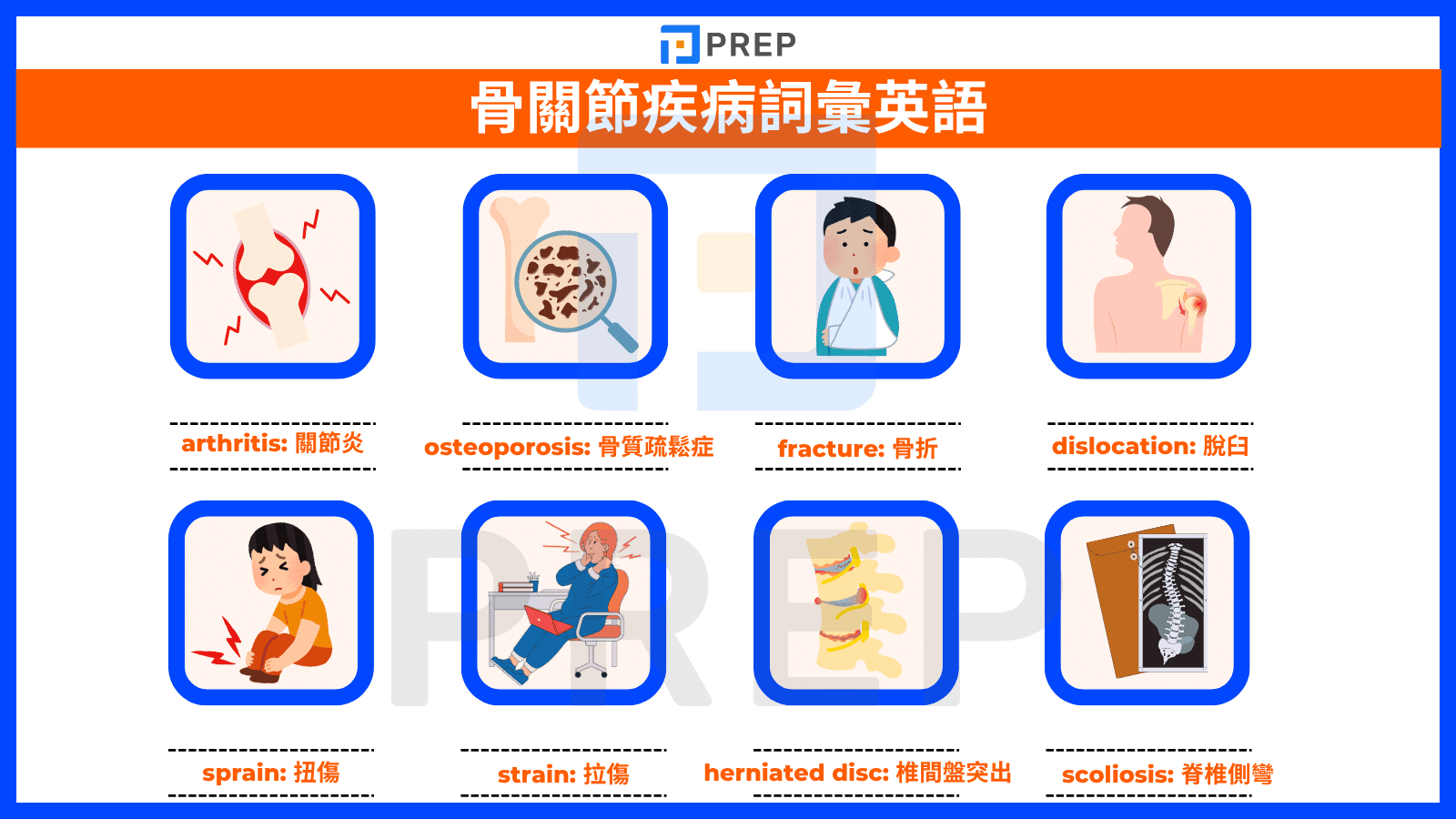 9-bone-and-joint-disease-vocabulary-in-english.png