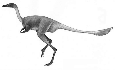 Archaeopteryx.png
