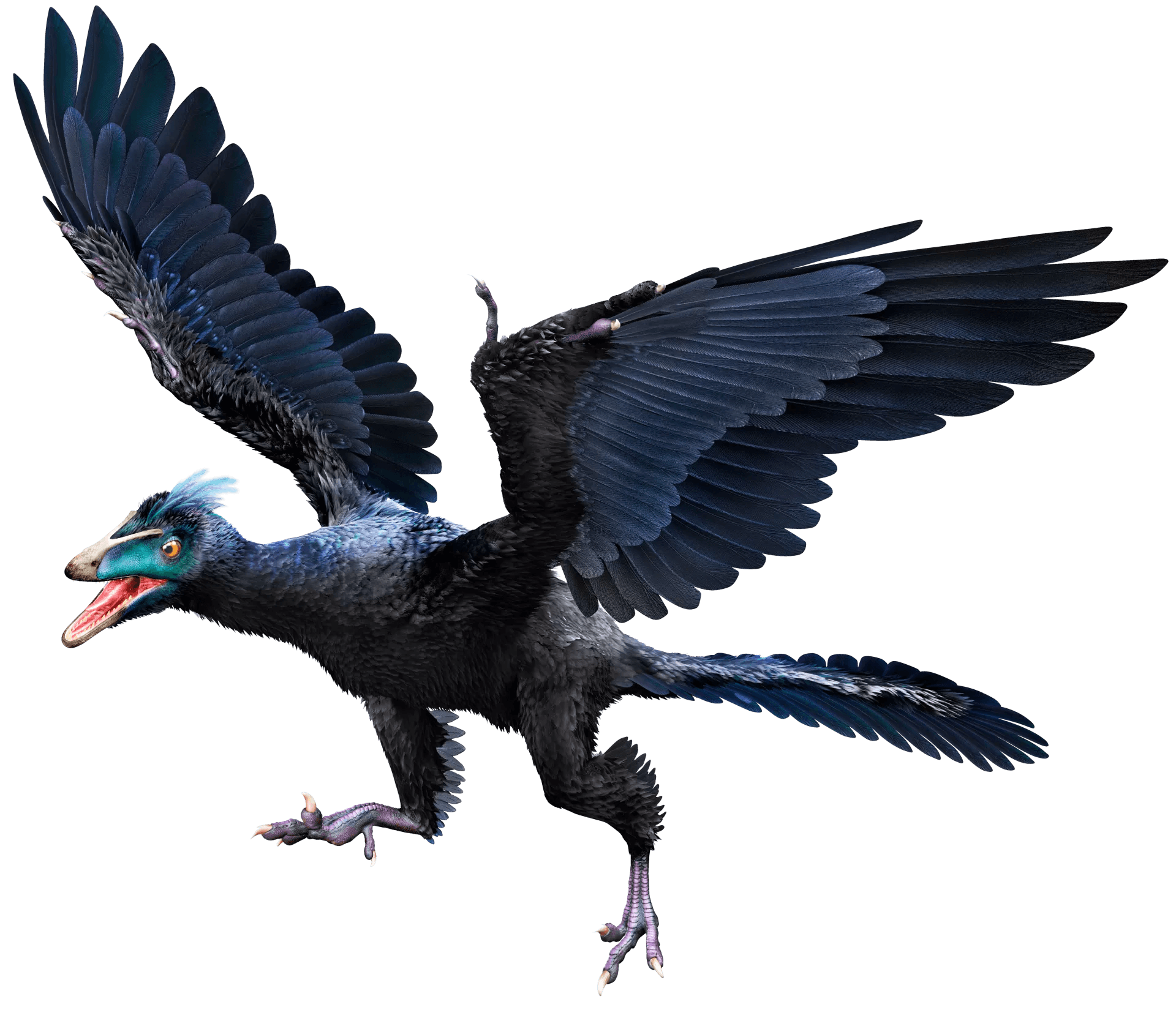 Archaeopteryx.png
