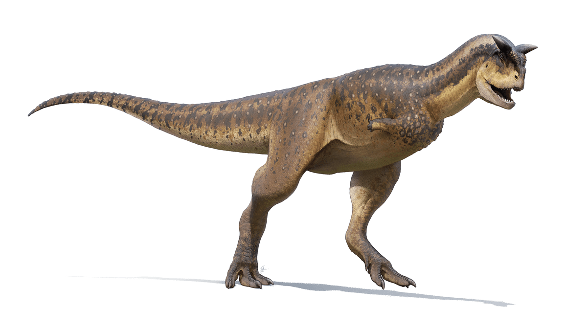 Carnotaurus_Reconstruction_(2022).png