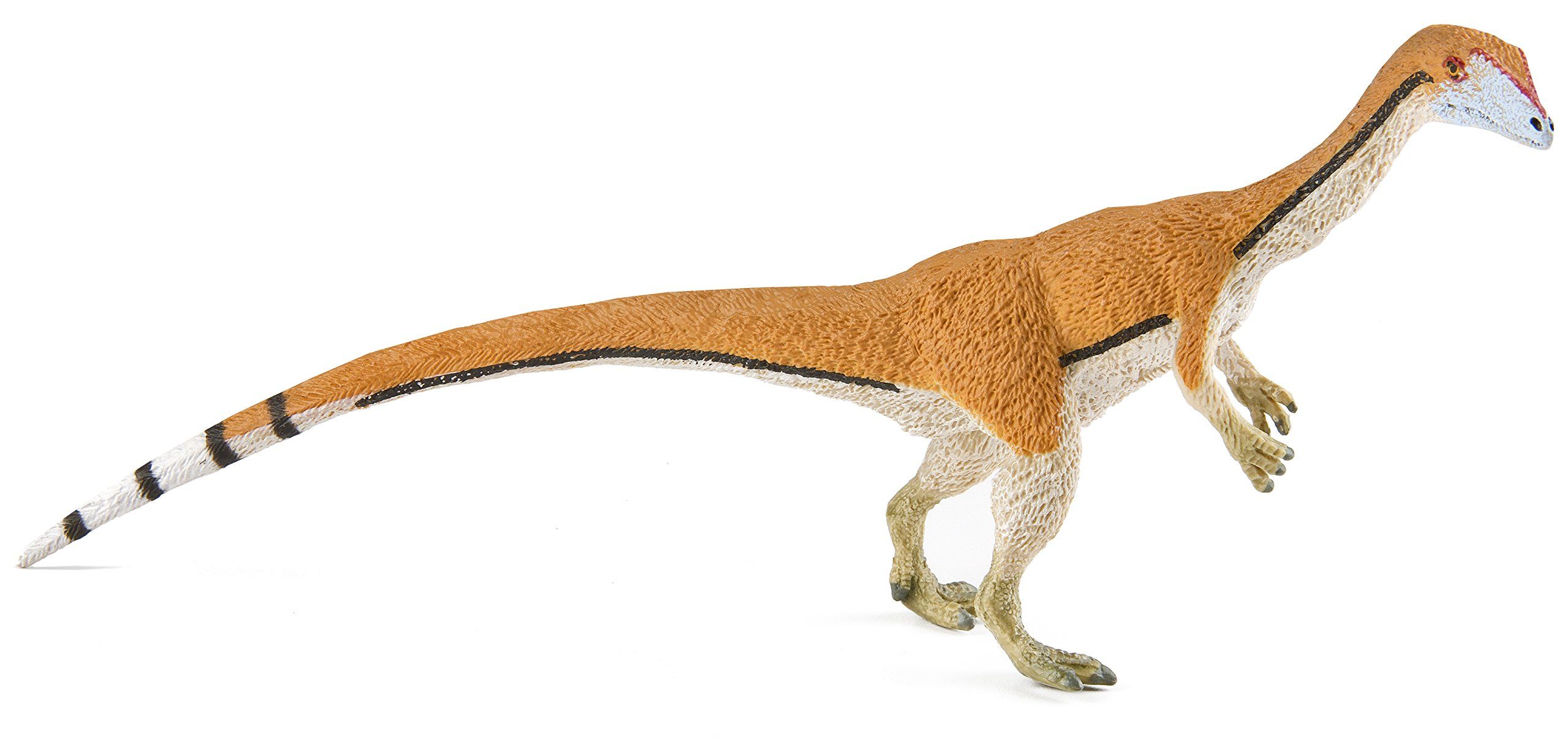 Coelophysis.jpg