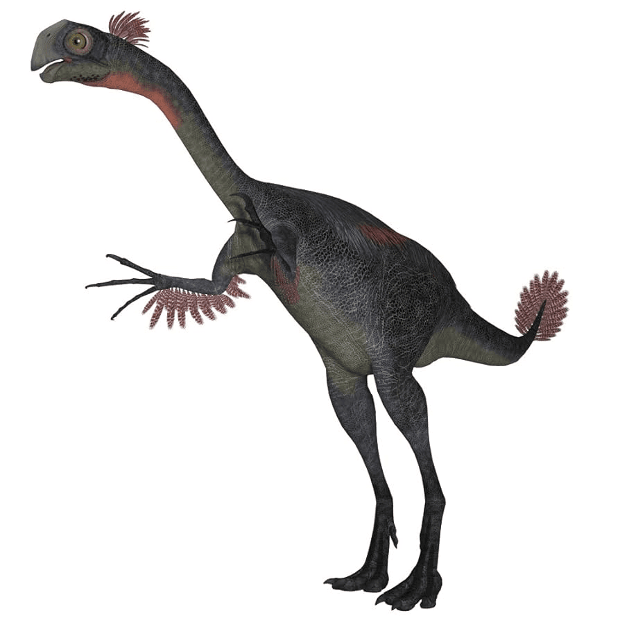 Coelophysis.png