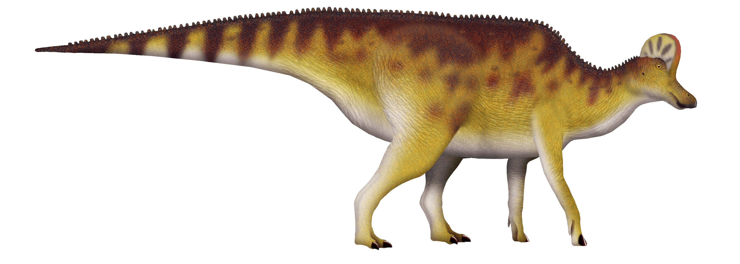 Corythosaurus_TD.png