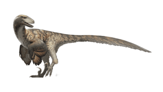 Deinonychus_Restoration.png