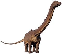 Diplodocus.jpg