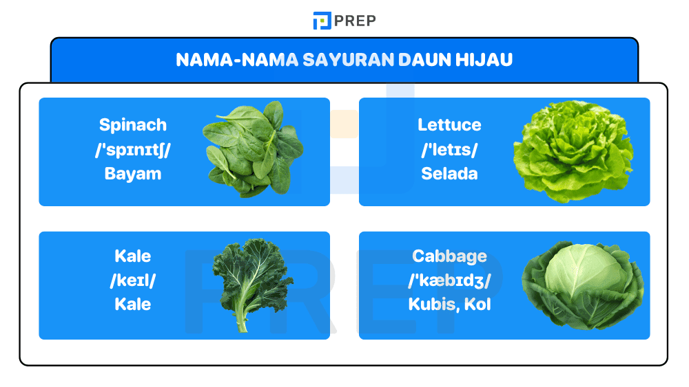 Nama-Nama Sayuran Daun Hijau
