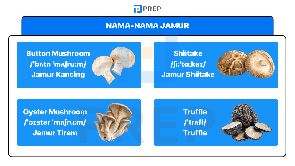 Nama-Nama Jamur