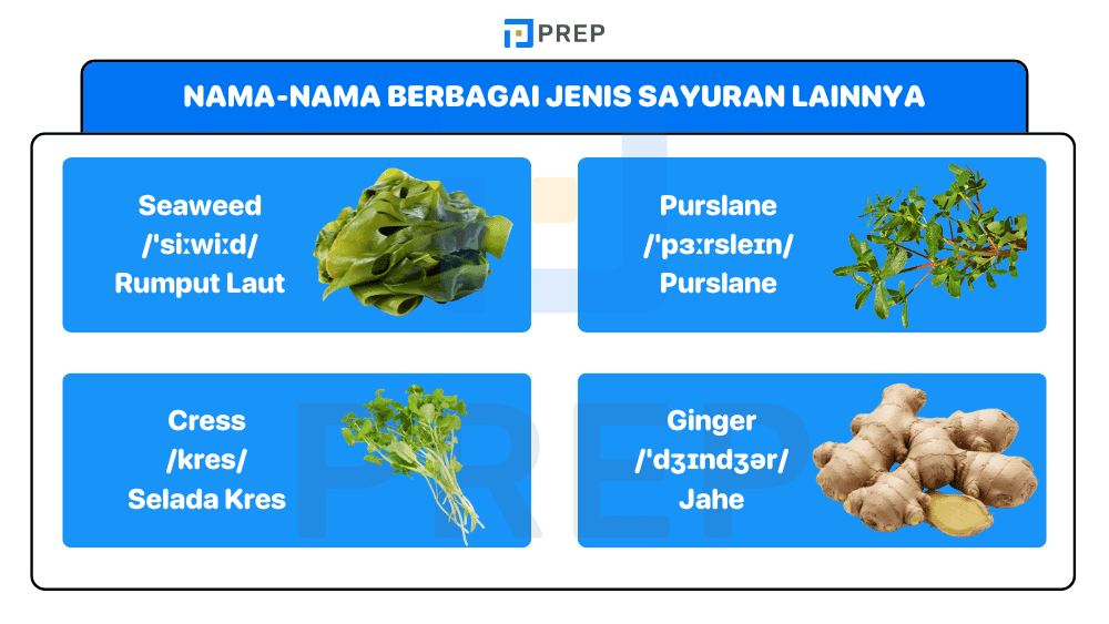 Nama-Nama Berbagai Jenis Sayuran Lainnya