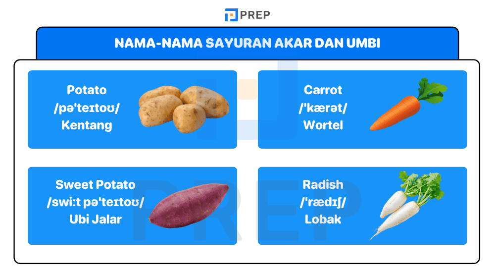 Nama-Nama Sayuran Akar dan Umbi