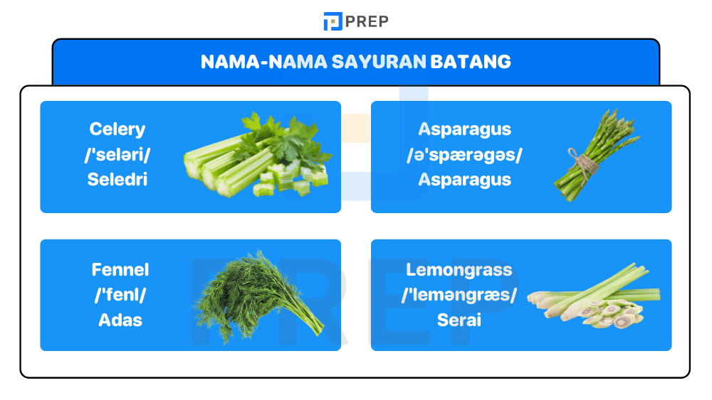 Nama-Nama Sayuran Batang