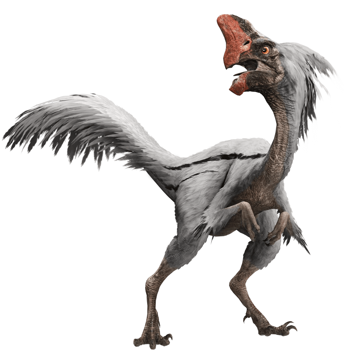 Gigantoraptor.png