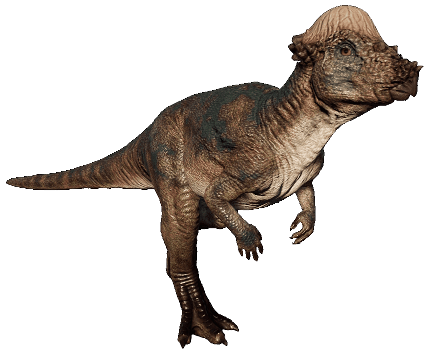 Mamenchisaurus.png