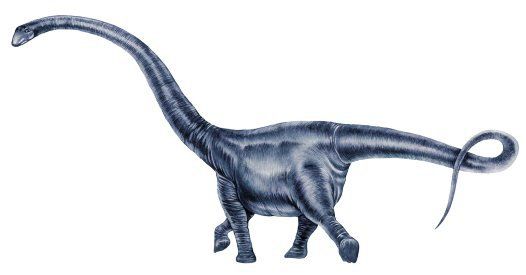 Mamenchisaurus.jpg
