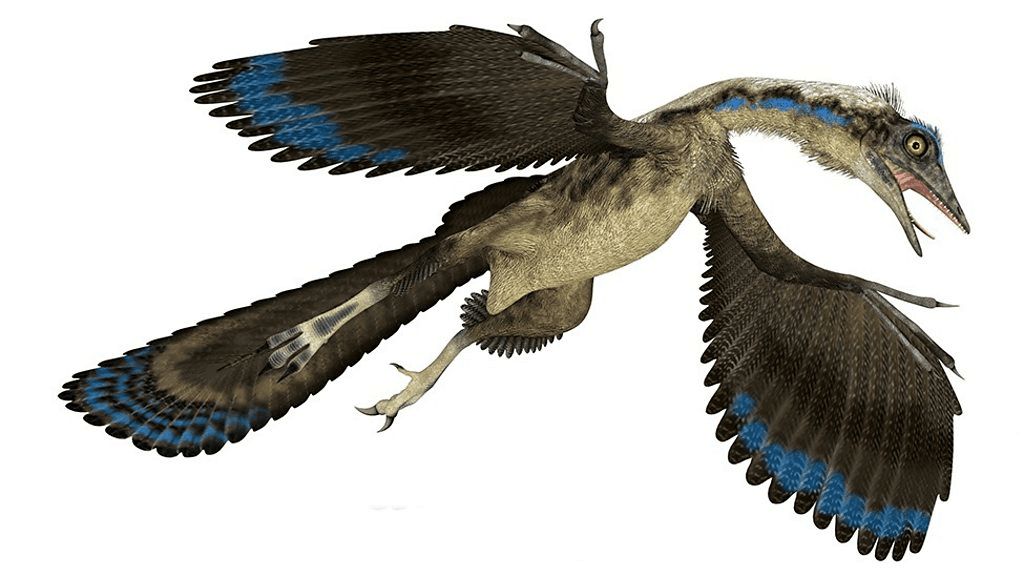 Pachycephalosaurus.png