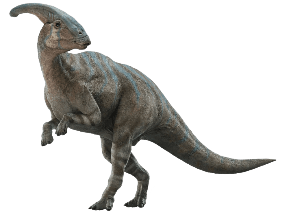 Styracosaurus.png