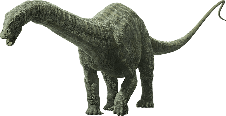 Torosaurus.png