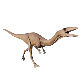 Velociraptor.png