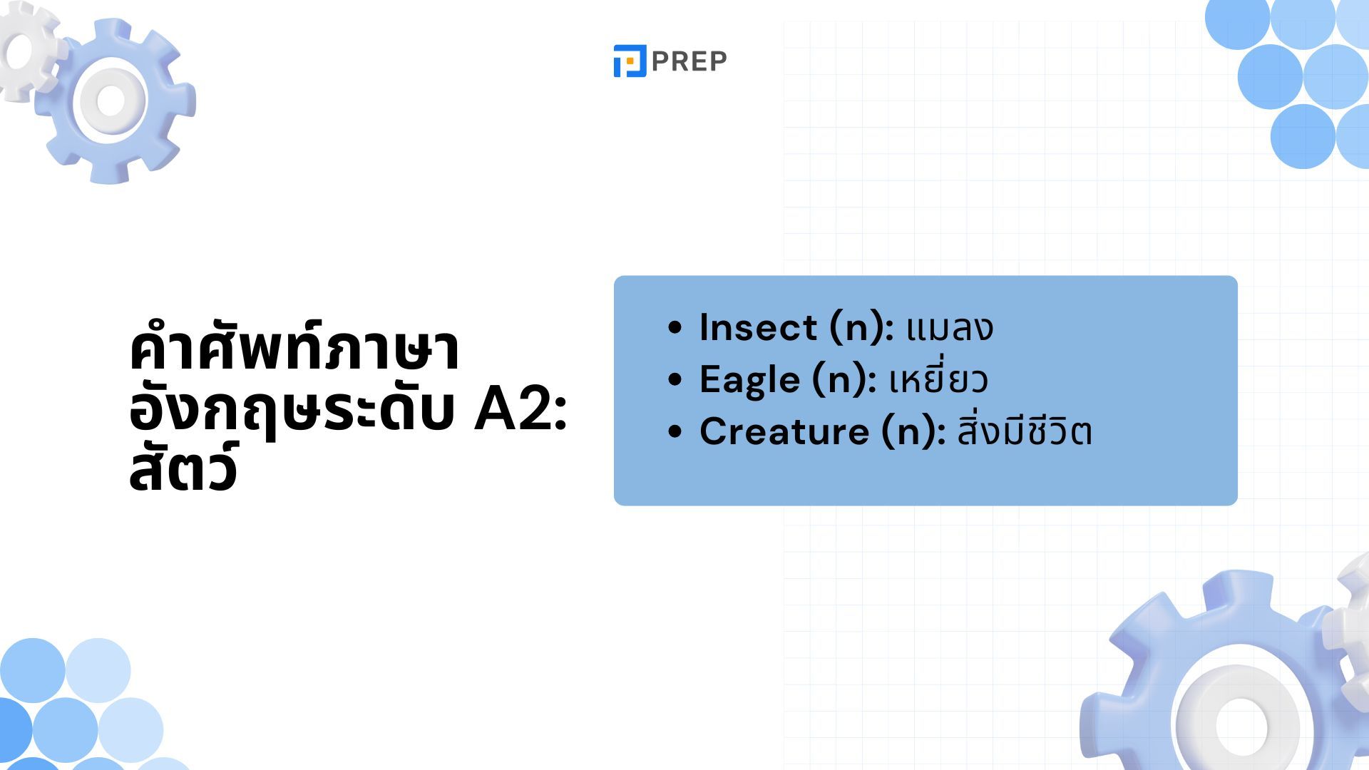 รวมคำศัพท์ภาษาอังกฤษระดับ A2 - สำหรับผู้เรียนระดับเริ่มต้น