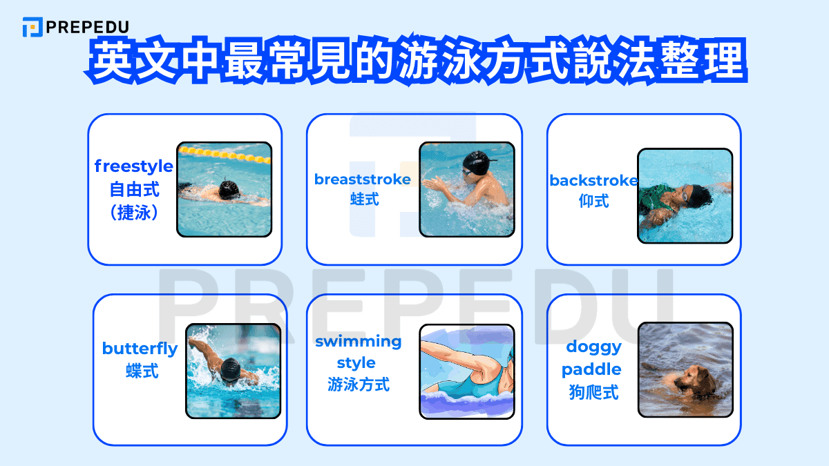 英文中最常見的游泳方式說法整理