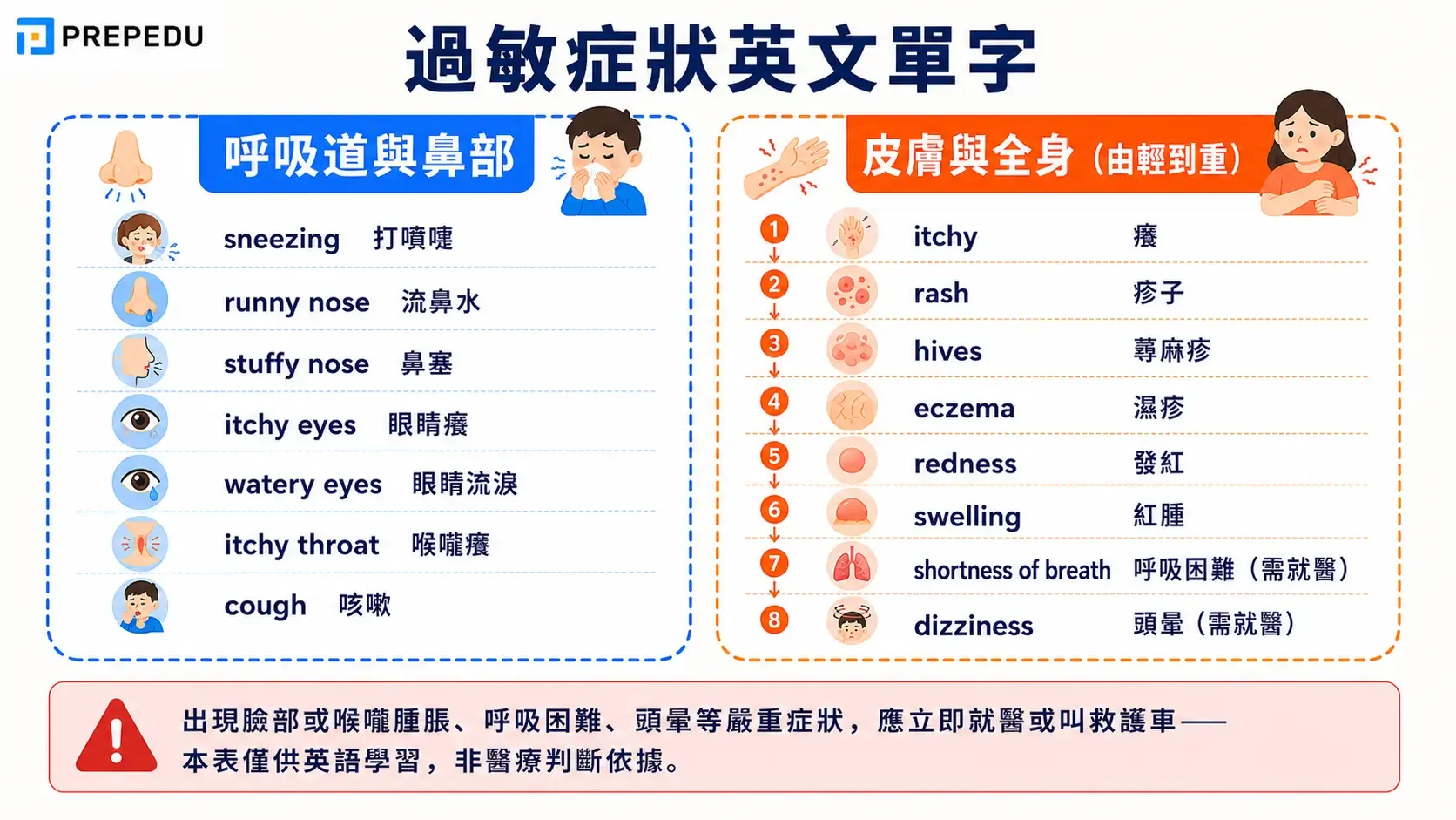 allergy-symptoms-english-vocabulary.webp