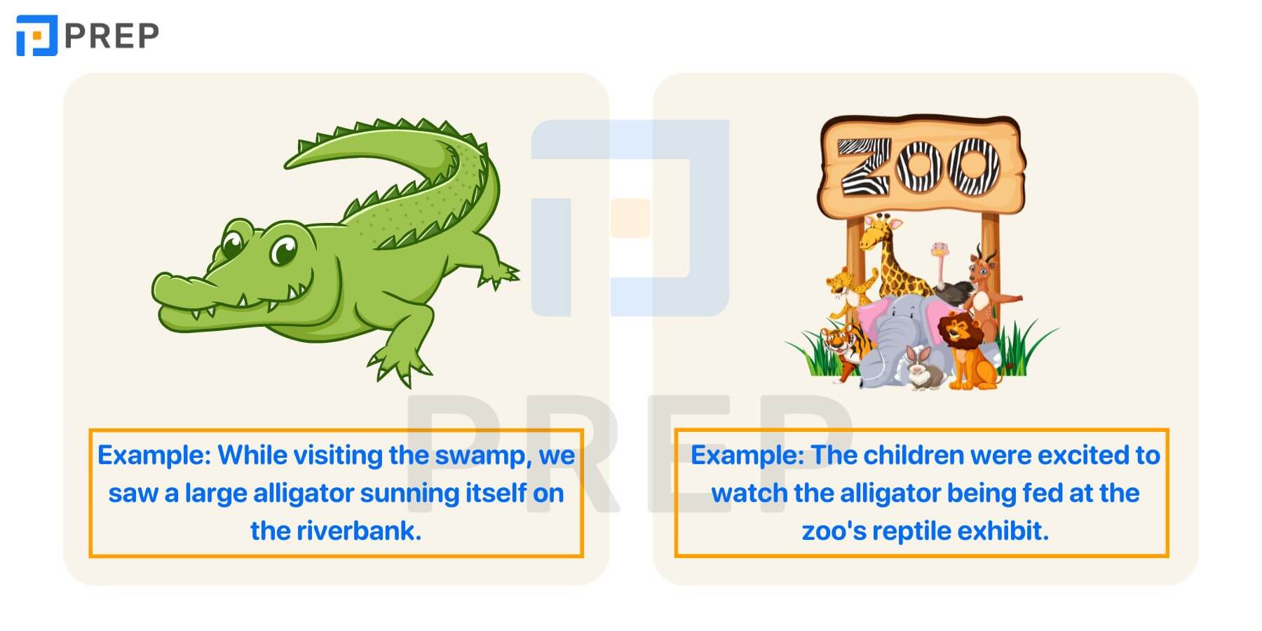 Alligator là gì?