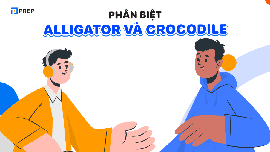 alligator và crocodile