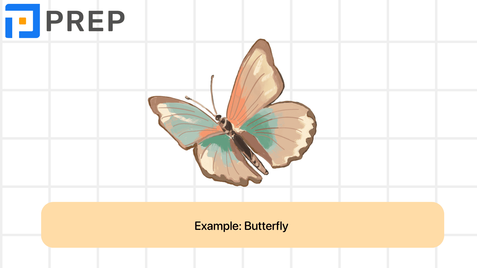 A2 vocabulary: Animals
