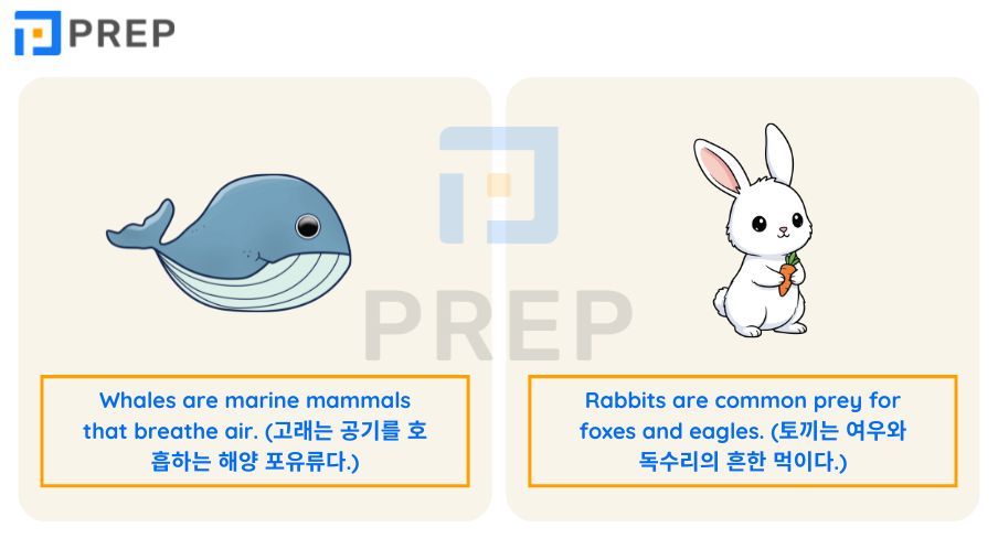 최다 빈출 동물 영어로 된 어휘 150선: 발음, 의미 및 연어의 심층 분석