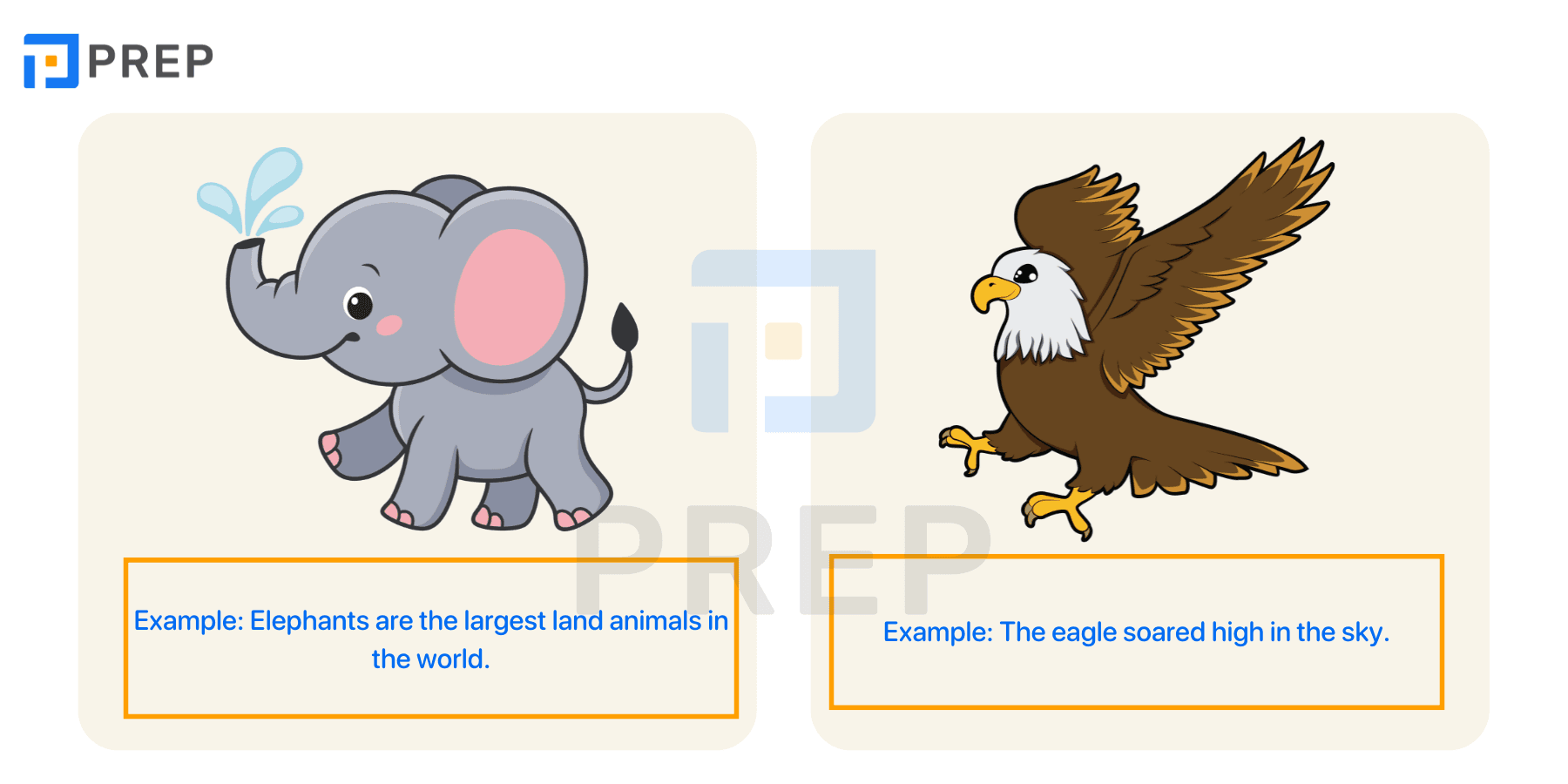 Animals