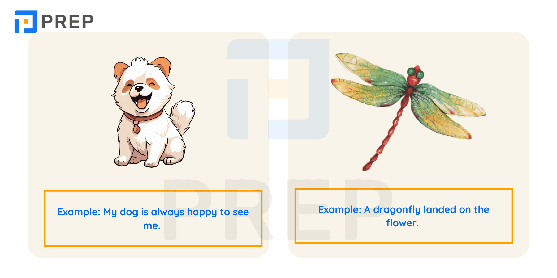 Animals
