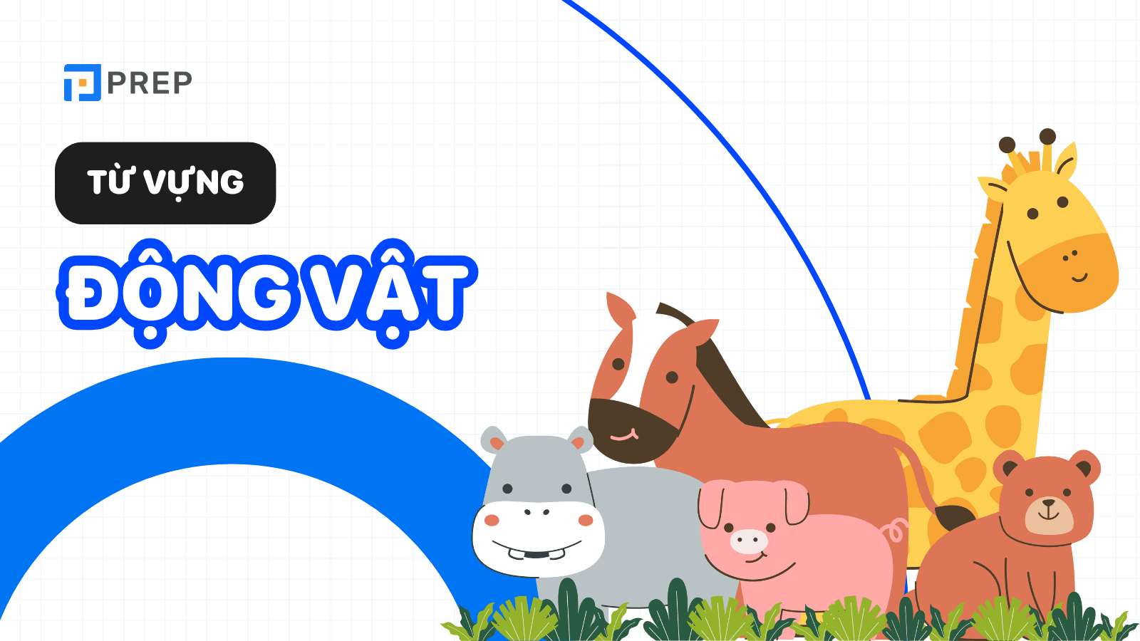  Từ vựng động vật (Animals Vocabulary)