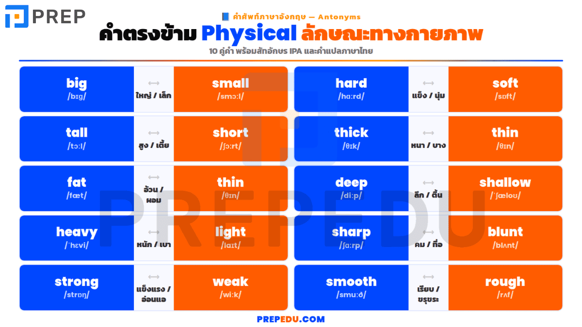 antonym-in-english-4.png
