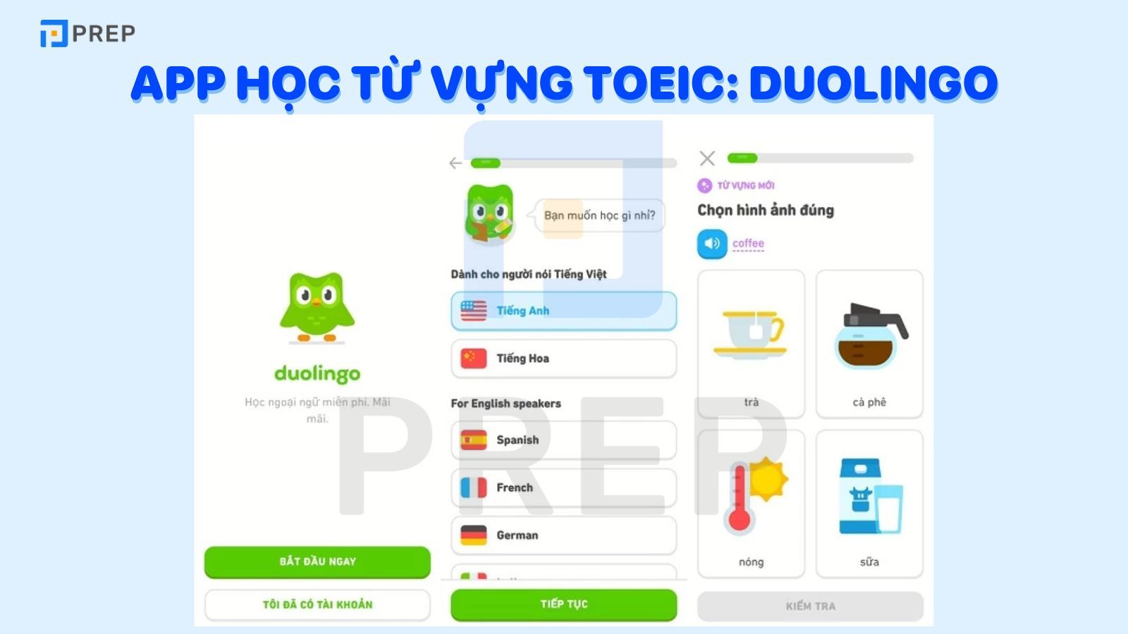 App học từ vựng TOEIC hay nhất
