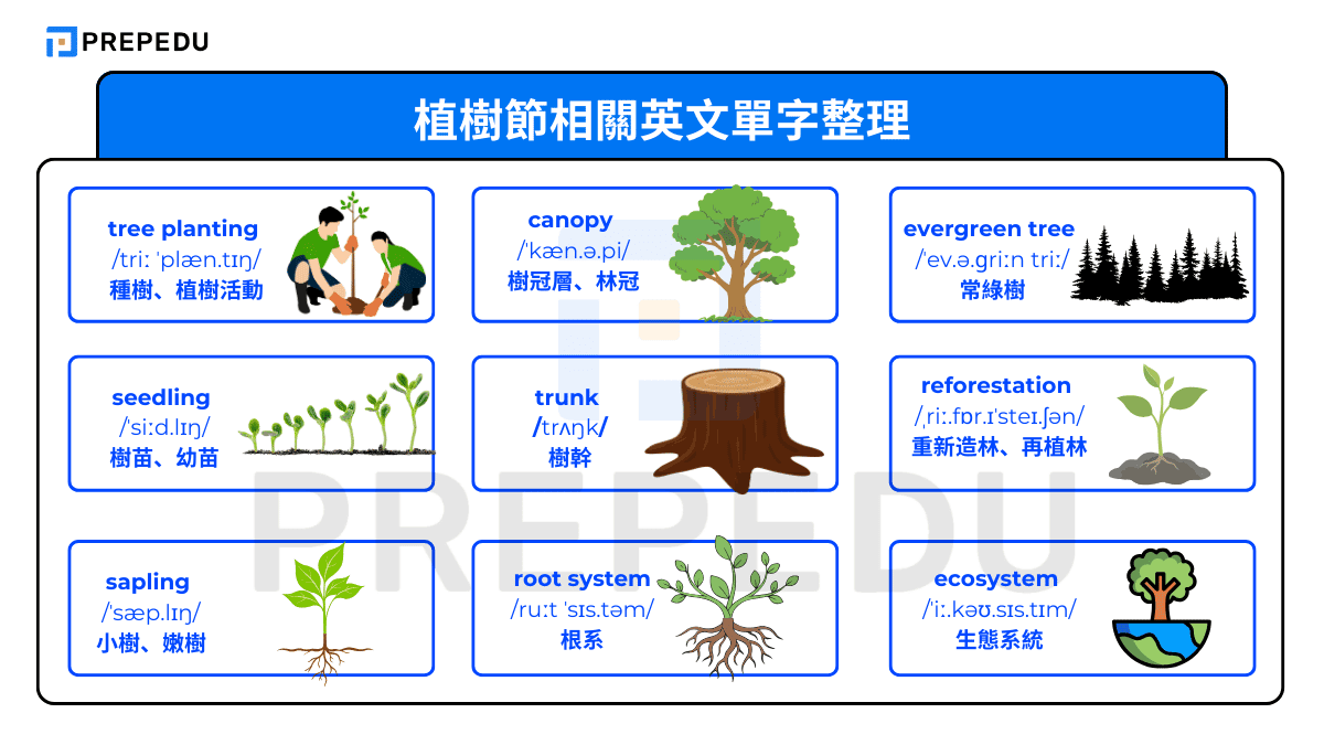 植樹節相關英文單字整理