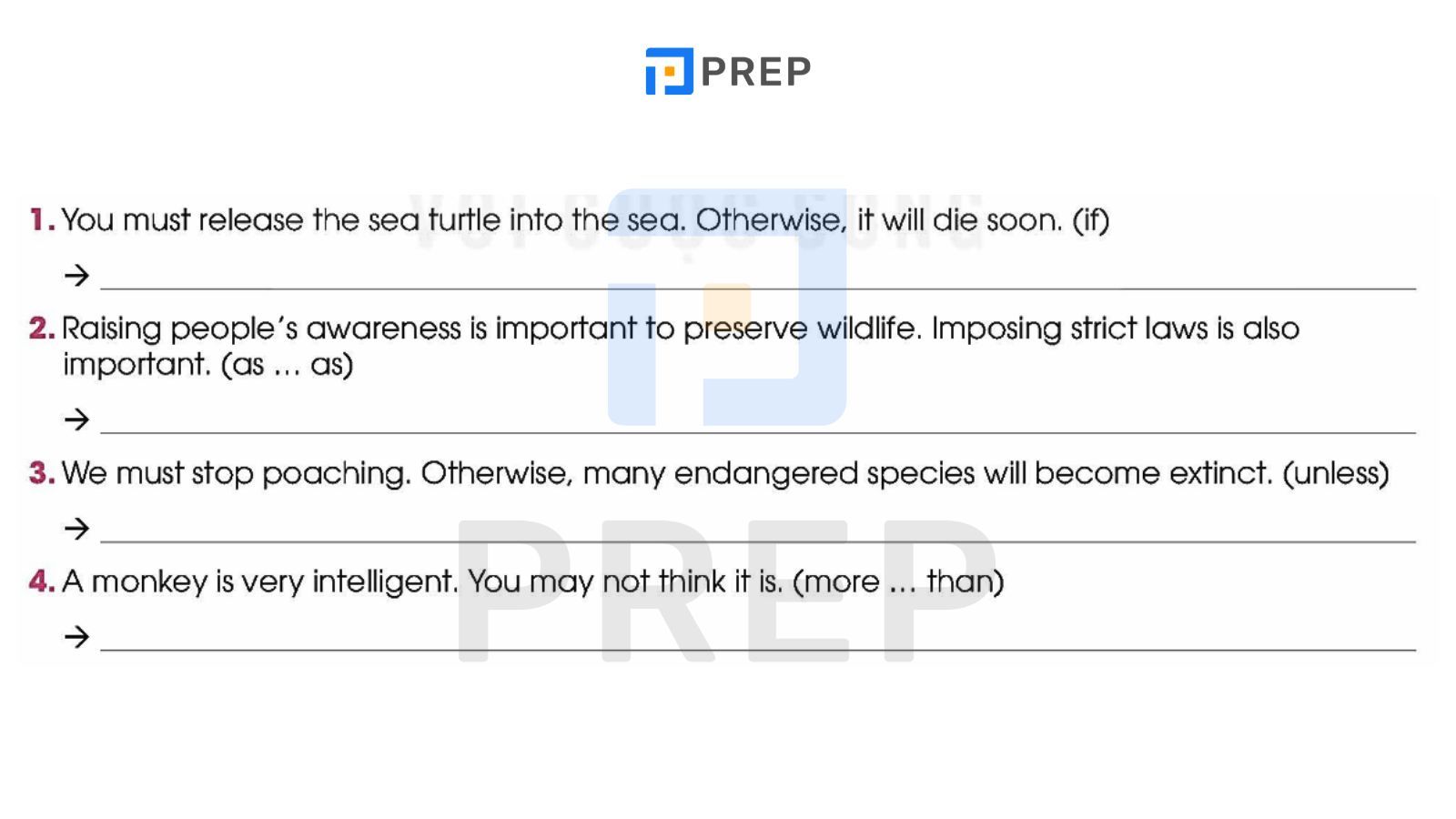 bai-1-grammar.jpg
