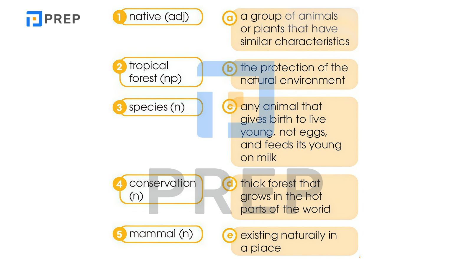 bai-1-vocabulary.jpg
