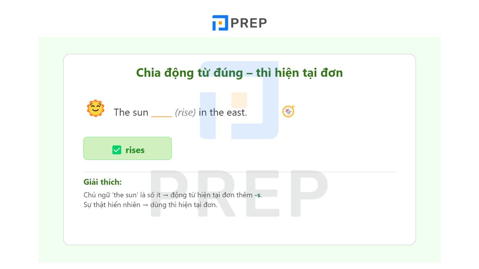 bai-tap-chia-dong-tu.jpg
