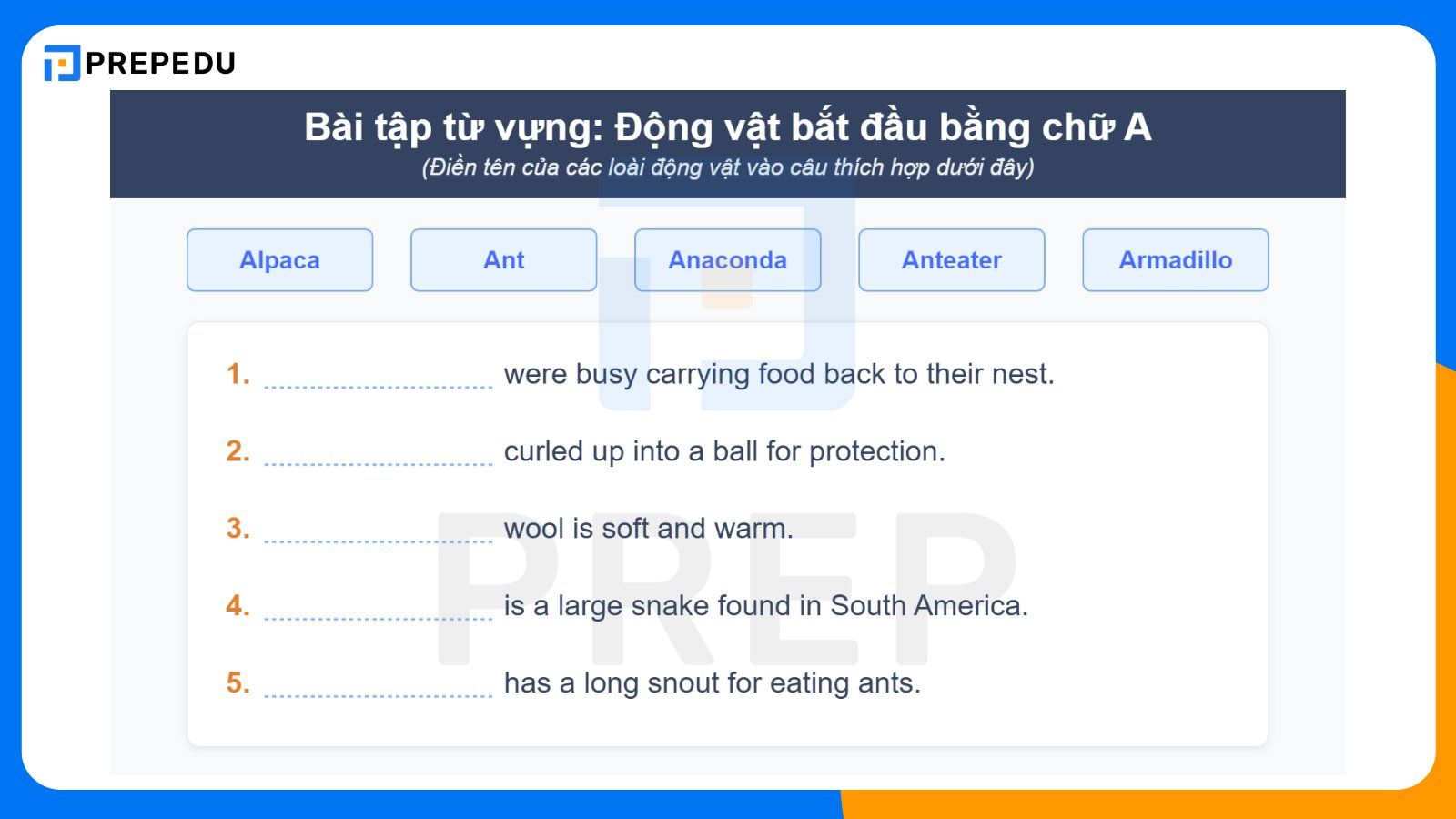 Bài tập ghi nhớ từ vựng tiếng Anh bắt đầu bằng chữ A