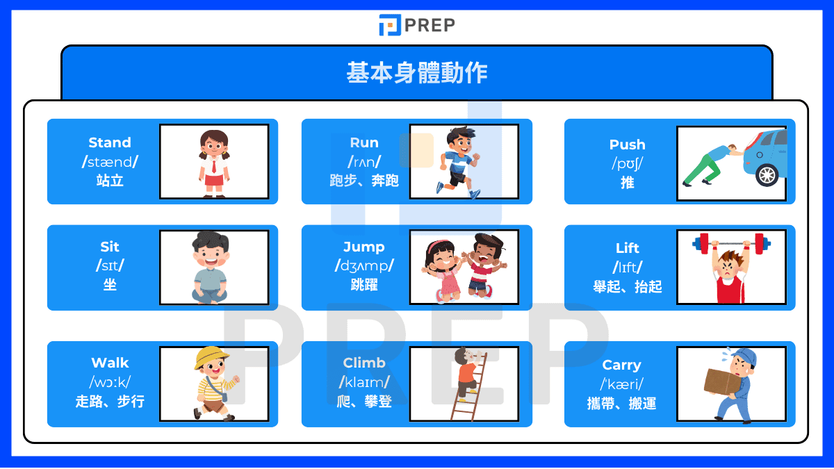 基本身體動作