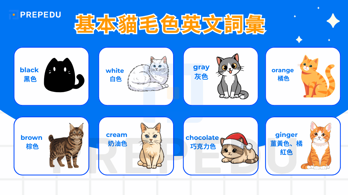 基本貓毛色英文