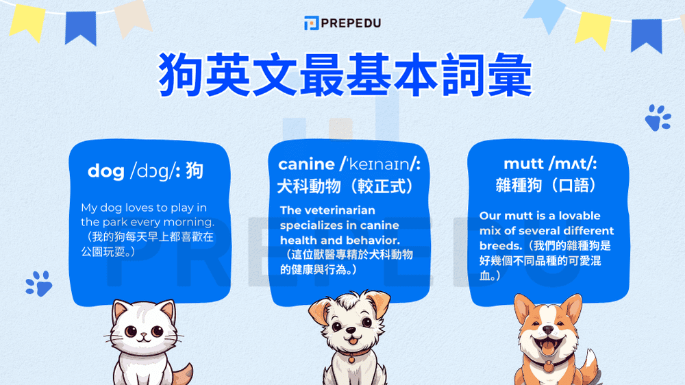 狗英文最基本詞彙
