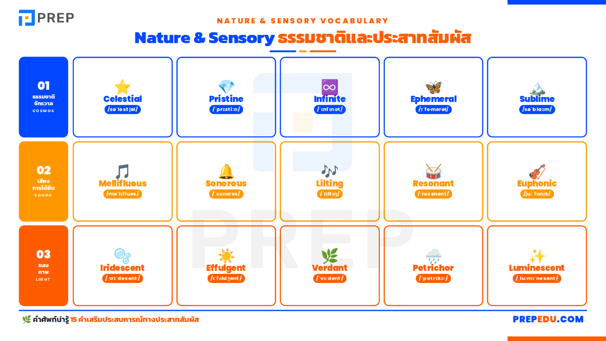 Nature & Sensory - ธรรมชาติและประสาทสัมผัส