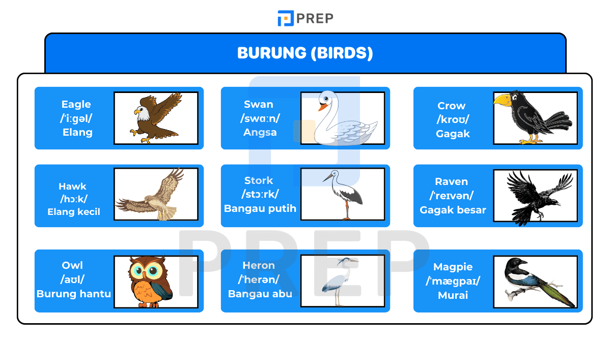 Burung (Birds)
