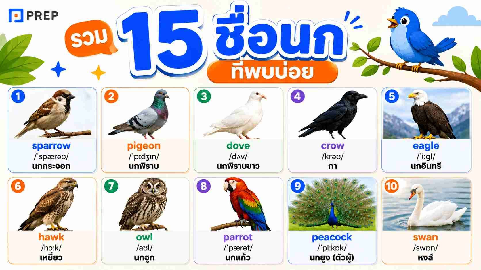 รวม 15 ชื่อนกที่พบบ่อย
