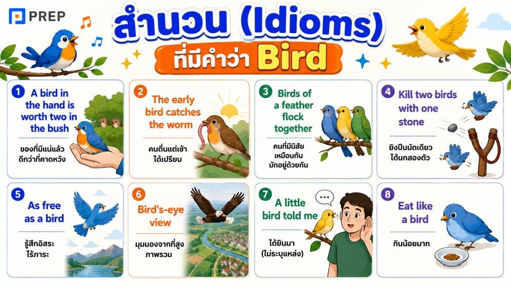 สำนวน (Idioms) ที่มีคำว่า Bird