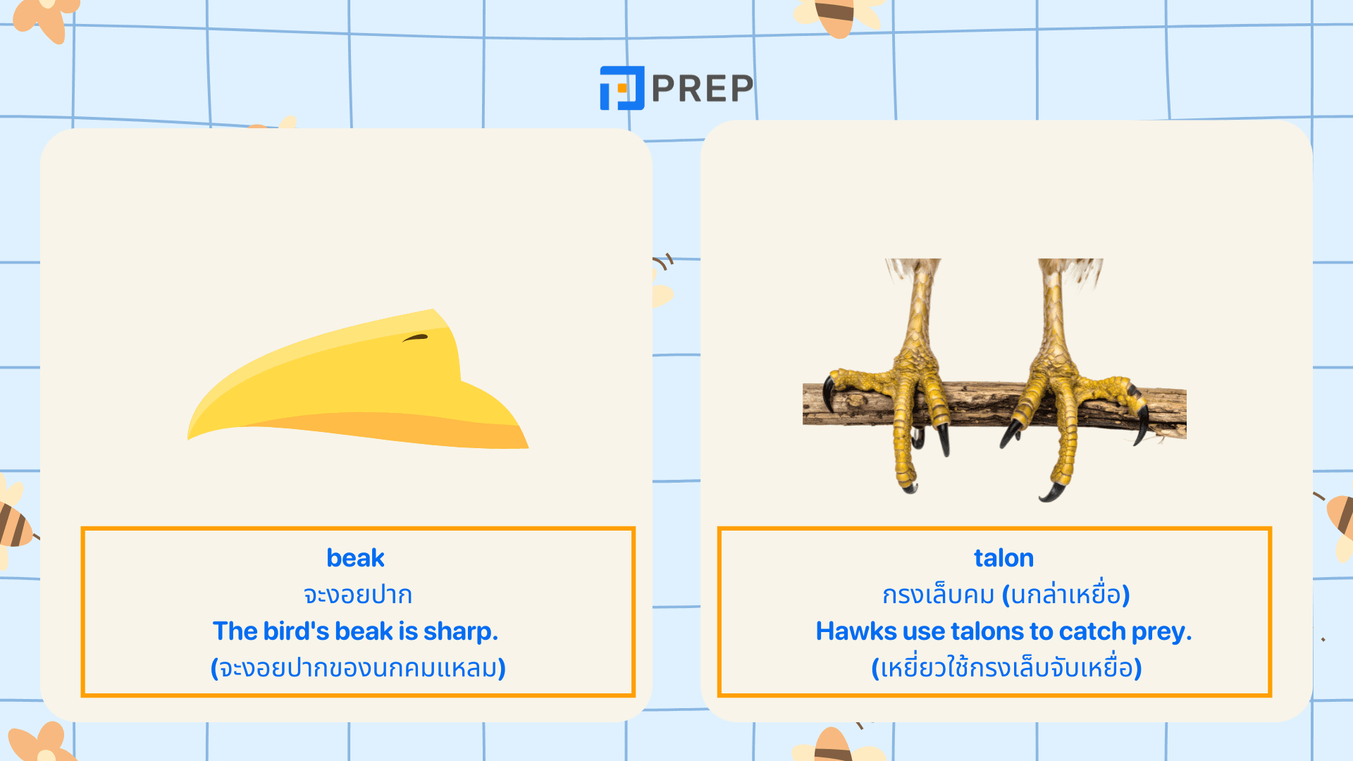 คำศัพท์ภาษาอังกฤษเกี่ยวกับนก พร้อมคำแปลและตัวอย่าง