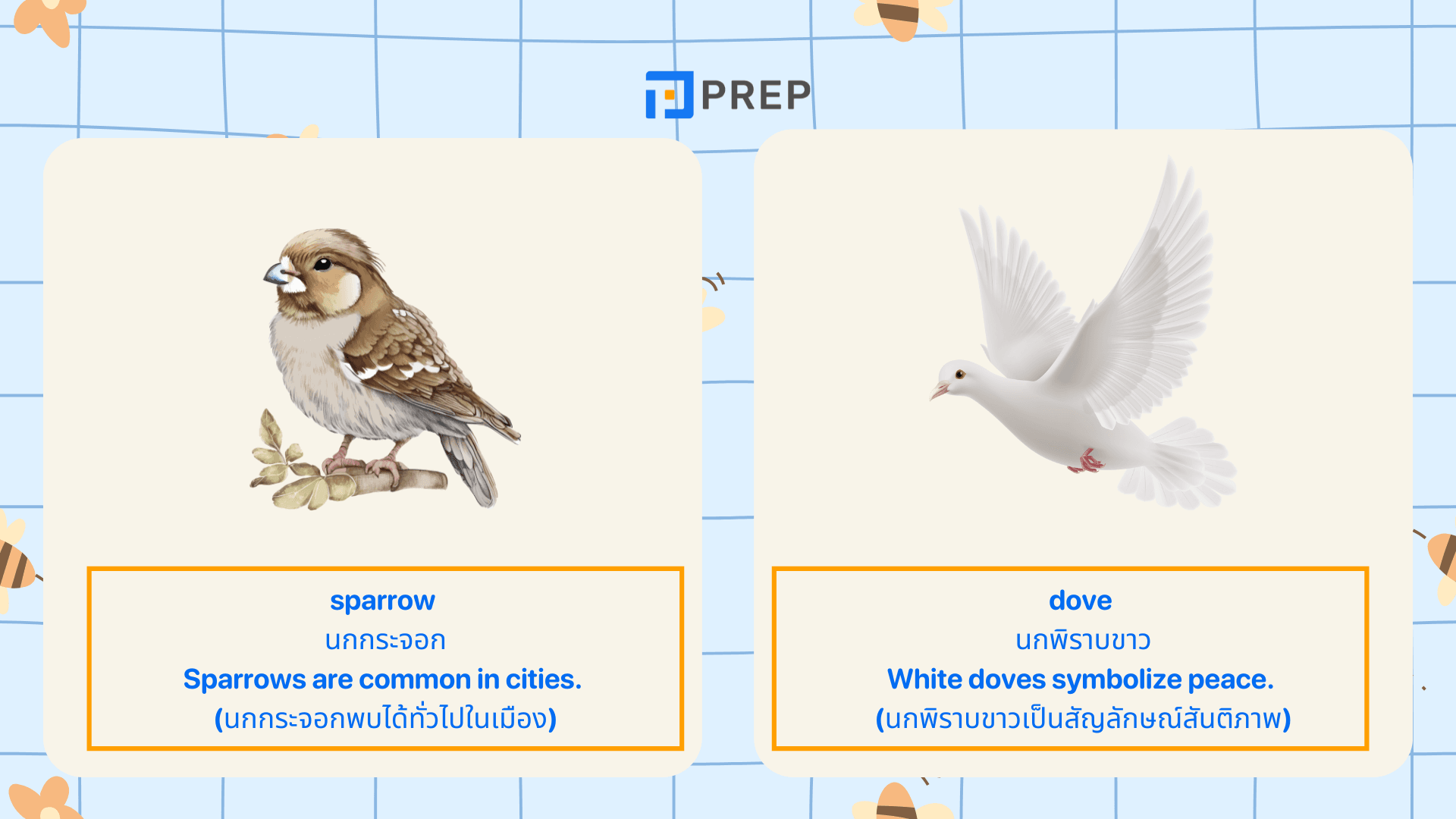คำศัพท์ภาษาอังกฤษเกี่ยวกับนก พร้อมคำแปลและตัวอย่าง